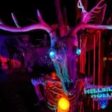 Hellbilly Holler photo