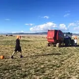 Beck Family Farms photo