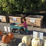 Beck Family Farms photo