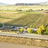Beck Family Farms photo