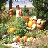 Beck Family Farms photo
