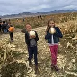 Beck Family Farms photo