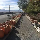 Beck Family Farms photo