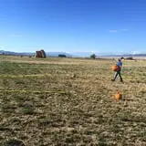 Beck Family Farms photo