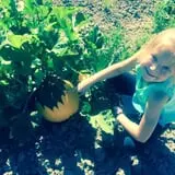 Beck Family Farms photo