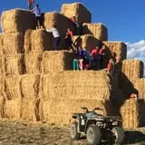 Beck Family Farms photo