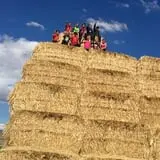 Beck Family Farms photo