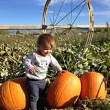 Beck Family Farms photo
