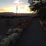 Beck Family Farms photo