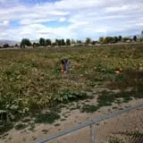 Beck Family Farms photo