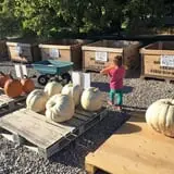 Beck Family Farms photo