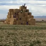 Beck Family Farms photo