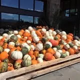 Beck Family Farms photo