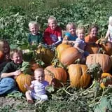 Beck Family Farms photo