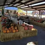 Beck Family Farms photo