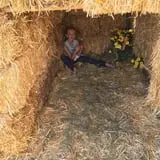 Beck Family Farms photo