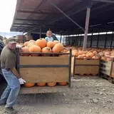 Beck Family Farms photo