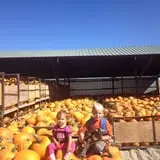 Beck Family Farms photo