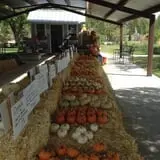 Beck Family Farms photo