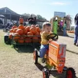 Sweet Berry Farm Harvest of Fall Fun photo