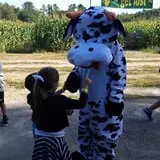 Pumpkin Valley Farm Corn Maze photo
