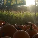 Pumpkin Valley Farm Corn Maze photo