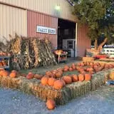 Chester's Party Barn & Farm photo