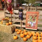 Chester's Party Barn & Farm photo