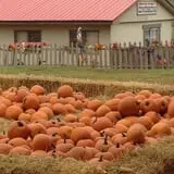 Chester's Party Barn & Farm photo