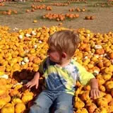 Chester's Party Barn & Farm photo
