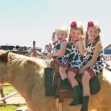 Chester's Party Barn & Farm photo