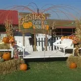 Chester's Party Barn & Farm photo