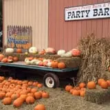 Chester's Party Barn & Farm photo
