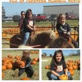 Chester's Party Barn & Farm photo