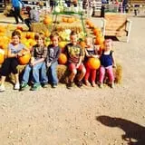 Chester's Party Barn & Farm photo