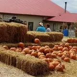 Chester's Party Barn & Farm photo