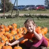 Chester's Party Barn & Farm photo