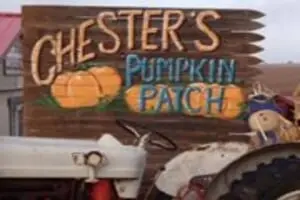 Chester's Party Barn & Farm