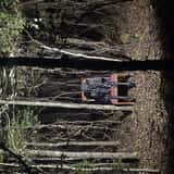 Holland's Haunted Forest at Holland Acres photo