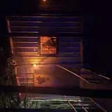 Holland's Haunted Forest at Holland Acres photo
