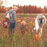 Siegel's Cottonwood Farm Pumpkin Fest & Sniper Paintball Ride photo