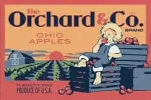 The Orchard & Company Fall Fun