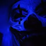 Amarillo Scaregrounds photo