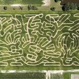 Beriswill Farms Corn Maze photo