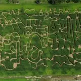 Beriswill Farms Corn Maze photo