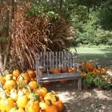 Roberts Family Farm photo