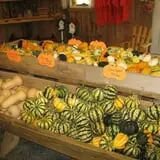 Roberts Family Farm photo