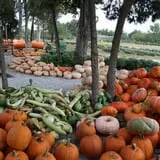 Roberts Family Farm photo