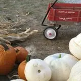 Roberts Family Farm photo