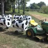 Roberts Family Farm photo